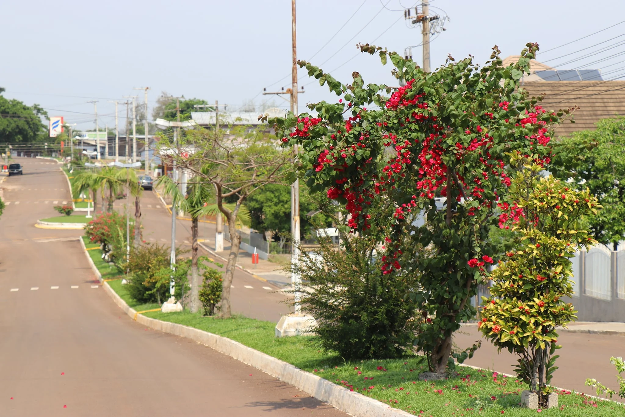 Uma das calmas ruas da cidade